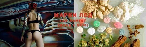 не бодяженный Белокуриха